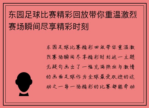 东园足球比赛精彩回放带你重温激烈赛场瞬间尽享精彩时刻